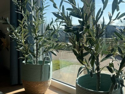 Chalet Vakantiepark de Zeeuwse Parel - Zeebaars - Outdoor photo 14