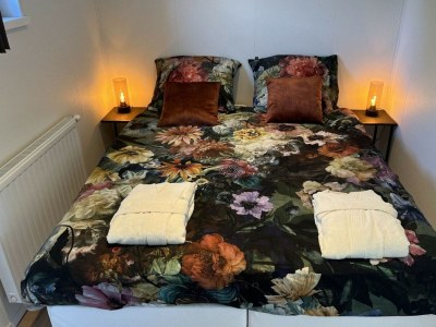 Chalet Vakantiepark de Zeeuwse Parel - Parkzicht - Features photo 7