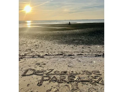 Chalet Vakantiepark de Zeeuwse Parel - Parkzicht - Outdoor photo 14