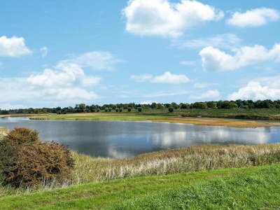 Chalet Vakantiepark de Zeeuwse Parel - De Witte Parel - Environment photo 9