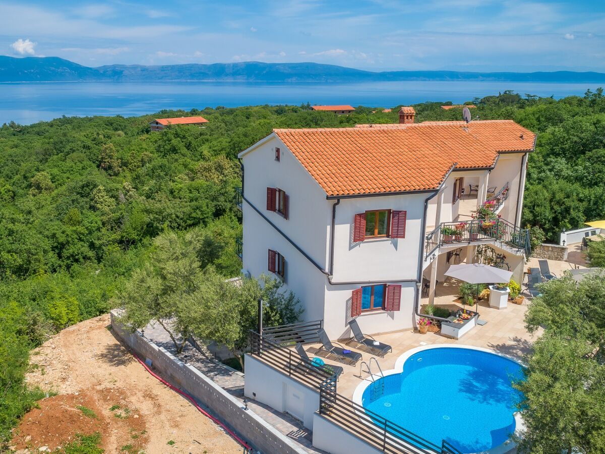 Apartment One bedroom apartment with terrace and sea view Drenje, Labin A-22992-f