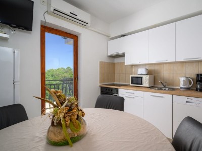 Apartment Two bedroom apartment with balcony and sea view Drenje, Labin A-22999-c - Outdoor photo 38