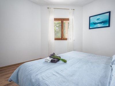 Apartment Two bedroom apartment with balcony and sea view Drenje, Labin A-22999-c - Outdoor photo 43