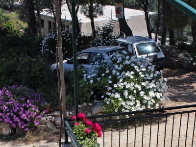 Apartment One bedroom apartment with terrace Cove Saplunara, Mljet A-4923-b - Outdoor photo 7