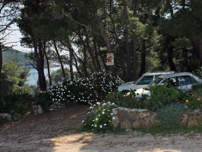 Apartment One bedroom apartment with terrace Cove Saplunara, Mljet A-4923-b - Outdoor photo 11