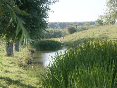 Holiday apartment Duinhof II 21 - Environment photo 11