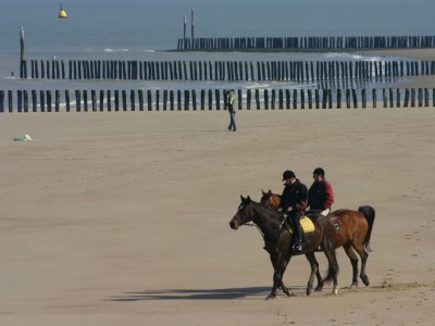 Holiday apartment Duinhof II 21 - Environment photo 16