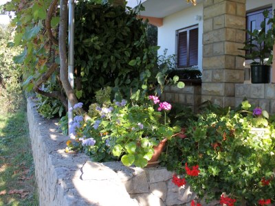 Apartment Two bedroom apartment with balcony and sea view Kožino, Zadar A-5749-b - Outdoor photo 4