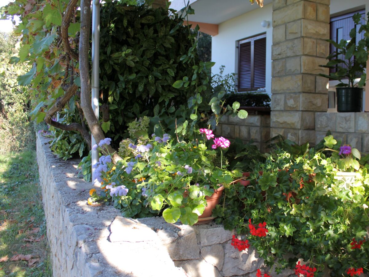 Apartment One bedroom apartment with terrace and sea view Kožino, Zadar A-5749-c - Outdoor photo 4
