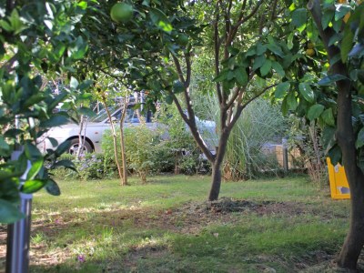 Apartment One bedroom apartment with terrace and sea view Kožino, Zadar A-5749-c - Outdoor photo 7