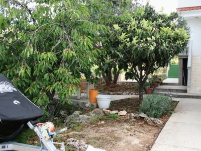 Apartment One bedroom apartment with terrace Jezera, Murter A-5109-b - Outdoor photo 7