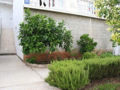 Apartment One bedroom apartment with terrace Jezera, Murter A-5109-b - Outdoor photo 10