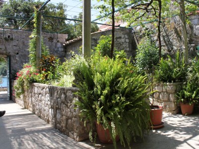 Apartment Two bedroom apartment near beach Zaton Mali, Dubrovnik A-8997-a - Outdoor photo 13