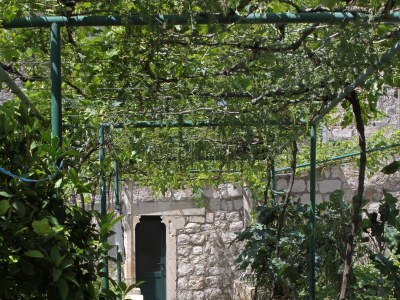 Apartment Two bedroom apartment near beach Zaton Mali, Dubrovnik A-8997-a - Outdoor photo 15