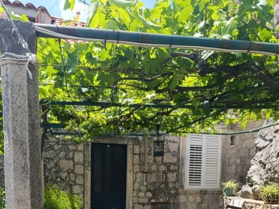 Apartment Two bedroom apartment near beach Zaton Mali, Dubrovnik A-8997-a - Outdoor photo 38