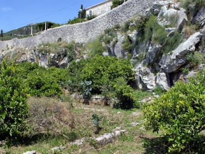 Holiday room near beach Zaton Mali, Dubrovnik S-8997-a - Outdoor photo 16