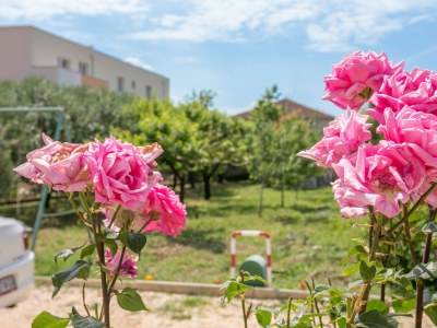 Apartment Three bedroom apartment with terrace and sea view Kaštel Štafilić, Kaštela A-20843-a - Outdoor photo 13