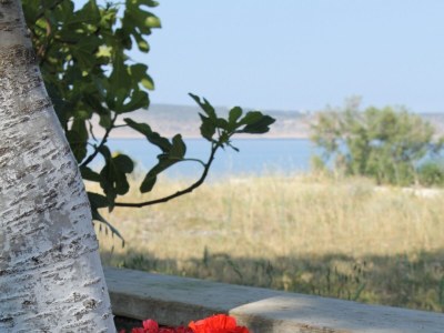 Apartment Two bedroom apartment near beach Seline, Paklenica A-6528-c - Outdoor photo 12