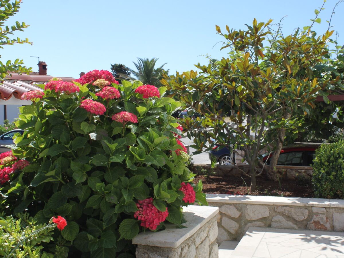 Apartment Two bedroom apartment with terrace Mali Lošinj, Lošinj A-8024-a - Outdoor photo 3