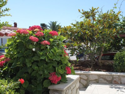 Apartment Two bedroom apartment with terrace Mali Lošinj, Lošinj A-8024-a - Outdoor photo 3