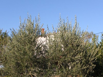 Apartment One bedroom apartment with terrace Pomer, Medulin A-7294-a - Outdoor photo 11