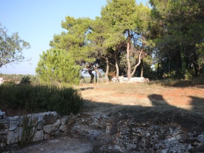 Apartment One bedroom apartment with terrace Pomer, Medulin A-7294-a - Outdoor photo 25