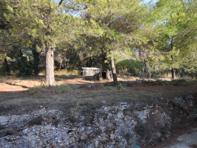 Apartment One bedroom apartment with terrace Pomer, Medulin A-7294-a - Outdoor photo 26