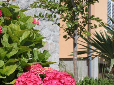 Apartment Two bedroom apartment with terrace Mali Lošinj, Lošinj A-8024-b - Outdoor photo 6