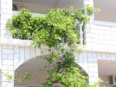 Apartment Studio flat with terrace and sea view Stara Novalja, Pag AS-6469-b - Outdoor photo 5