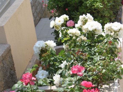 Apartment Studio flat with terrace and sea view Stara Novalja, Pag AS-6469-b - Outdoor photo 8