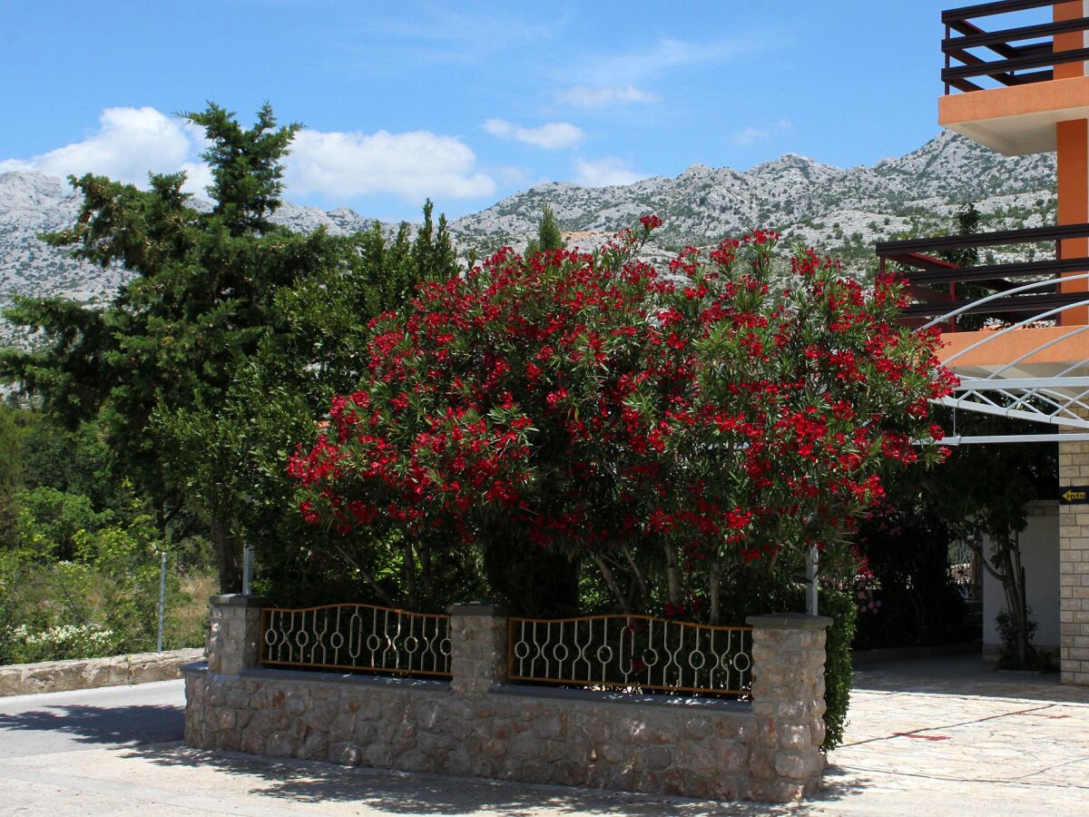 Apartment Apartments and rooms by the sea Starigrad, Paklenica - 6591 - Outdoor photo 4