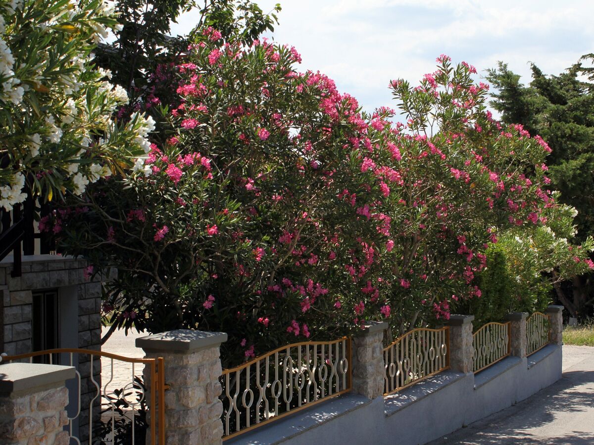 Apartment Apartments and rooms by the sea Starigrad, Paklenica - 6591 - Outdoor photo 5