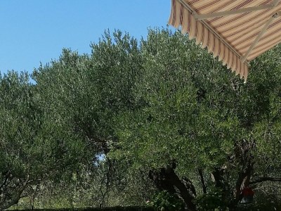 Apartment One bedroom apartment with air-conditioning Makarska A-6768-a - Outdoor photo 5