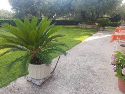 Apartment One bedroom apartment with air-conditioning Makarska A-6768-a - Outdoor photo 8