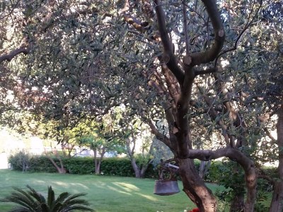 Apartment One bedroom apartment with air-conditioning Makarska A-6768-b - Outdoor photo 6