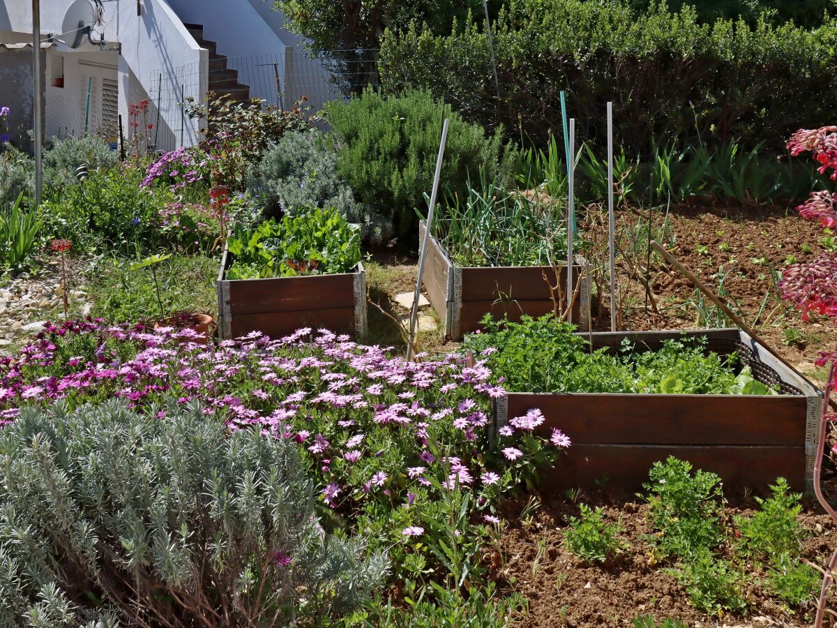 Apartment Apartments with parking space Suha Punta, Rab - 17239 - Apartments with parking space Suha Punta, Rab - 17239 - Outdoor photo 4