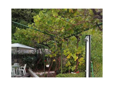 Apartment Two bedroom apartment with terrace and sea view Kampor, Rab A-14841-a - Outdoor photo 6