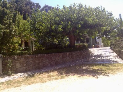 Apartment Two bedroom apartment with terrace and sea view Kampor, Rab A-14841-a - Outdoor photo 9