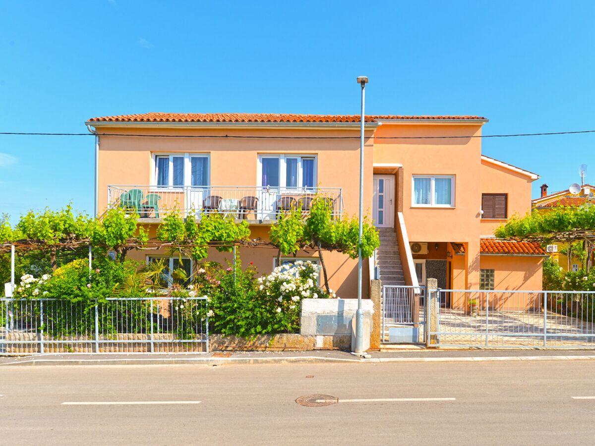 Apartment One bedroom apartment with terrace Fažana A-19596-b - Outdoor photo 5