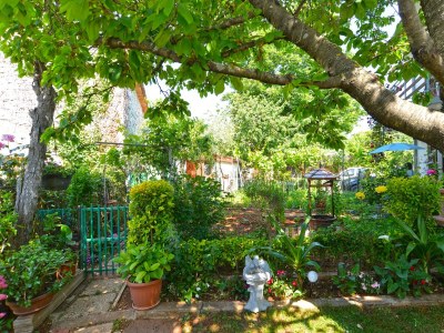 Apartment Two bedroom apartment with terrace Kukci, Poreč A-20797-b - Outdoor photo 12