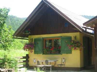 Apartment One bedroom apartment (pet friendly) Jasenak, Gorski kotar A-20718-e in Jasenak - Apartment