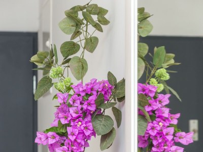 Apartment One bedroom apartment with terrace and sea view Pisak, Omiš A-21568-a - Outdoor photo 28