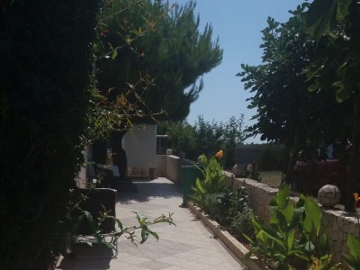 Apartment Two bedroom apartment with terrace and sea view Vir - Lozice, Vir A-21047-b - Outdoor photo 12