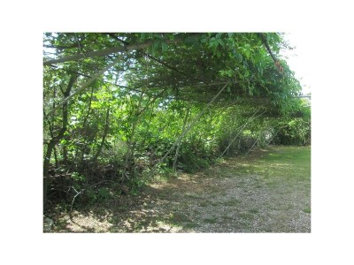 Apartment One bedroom apartment with balcony Vir A-21512-a - Outdoor photo 12