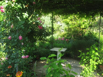 Apartment Two bedroom apartment with air-conditioning Vir A-21512-b - Outdoor photo 7