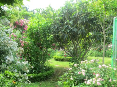 Apartment Two bedroom apartment with air-conditioning Vir A-21512-b - Outdoor photo 8