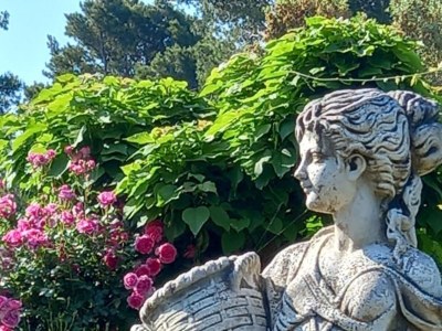 Apartment Two bedroom apartment with air-conditioning Vir A-21512-b - Outdoor photo 11