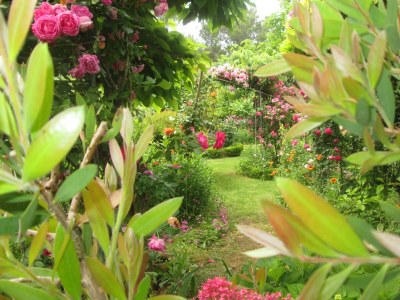 Apartment Three bedroom apartment with balcony Vir A-21512-c - Outdoor photo 6