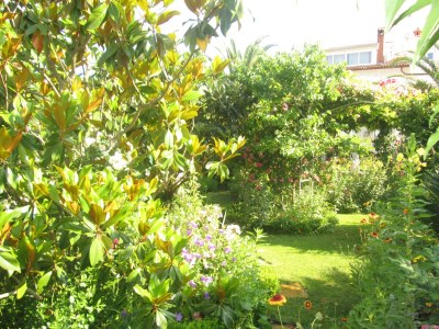 Apartment Three bedroom apartment with balcony Vir A-21512-c - Outdoor photo 9