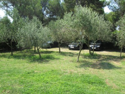 Apartment Three bedroom apartment with balcony Vir A-21512-c - Outdoor photo 13